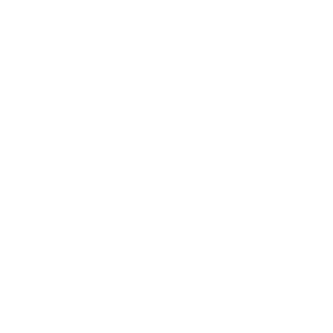 kayak icon