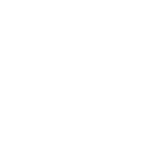 boating icon