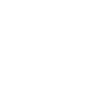 horse Icon